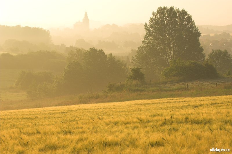 Akkers van Hoegaarden