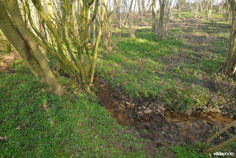Natuurreservaat Broekelzen