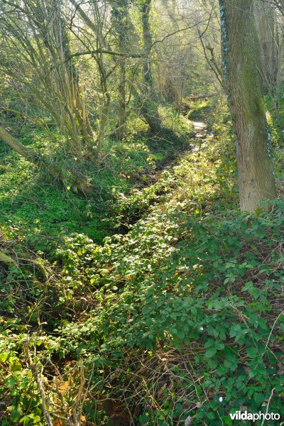 Natuurreservaat Broekelzen