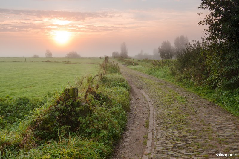 Landwegje in uiterwaarden van de IJssel