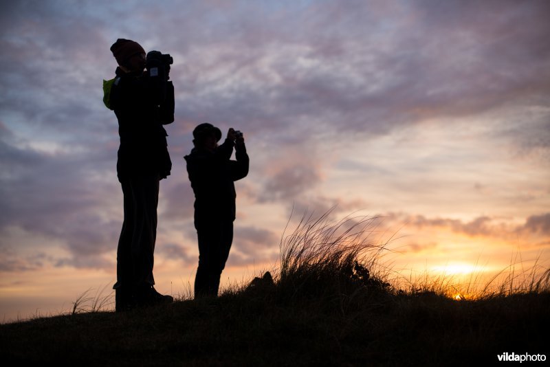 Vogels kijken op duintop