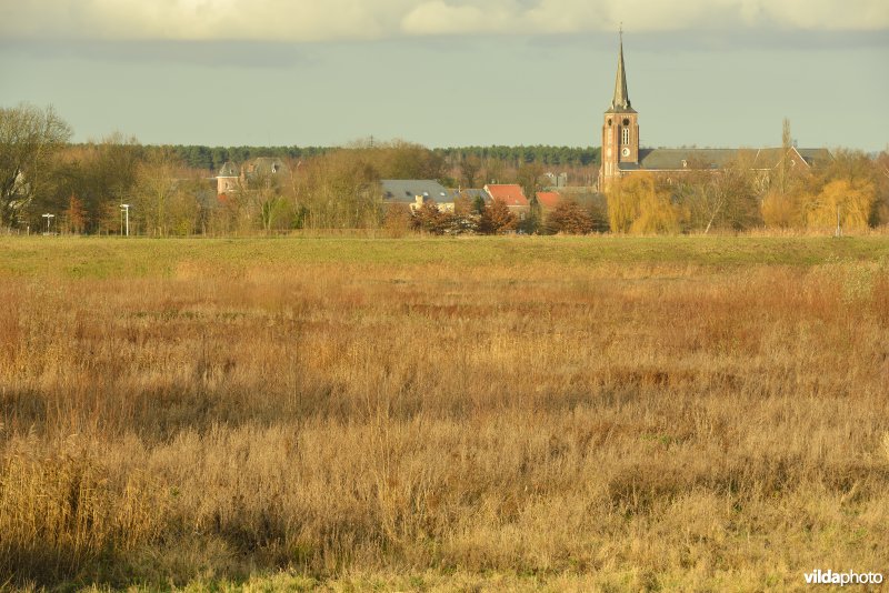 Grote Vijver (Noord Deel 1)