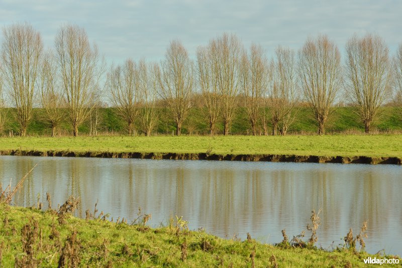 Zennegat