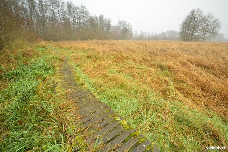 Vallei van de Grote Nete