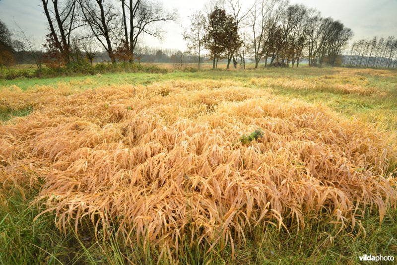 Vallei van de Grote Nete