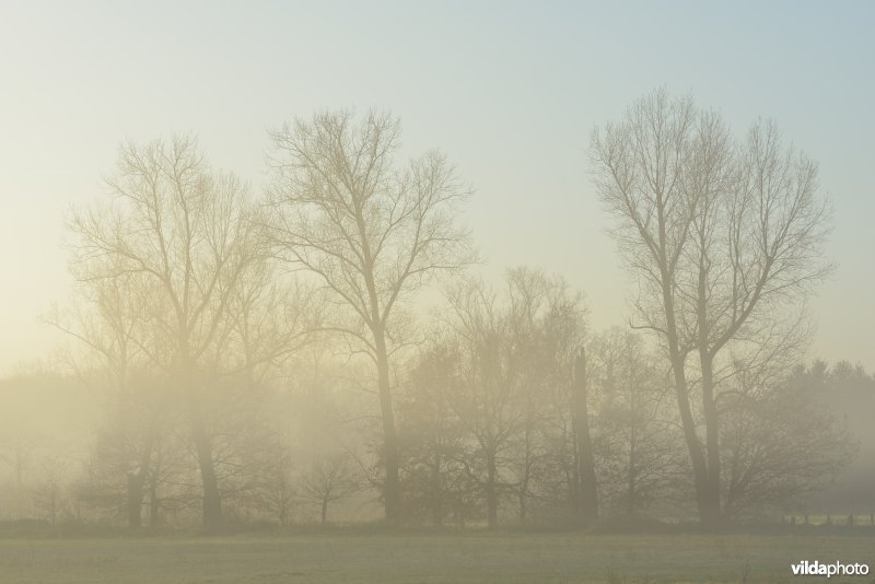 Vallei van de Grote Nete