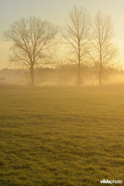 Vallei van de Grote Nete