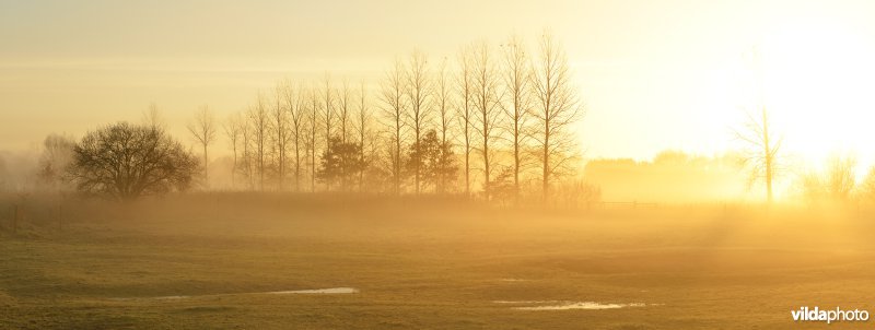 Vallei van de Grote Nete