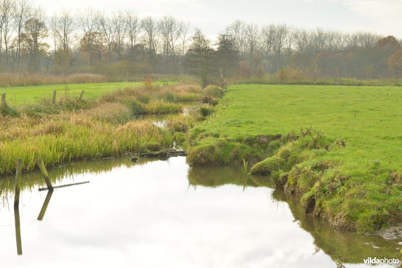 KBR polder