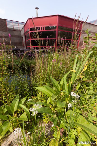 Bezoekerscentrum Ecocentrum De Goren