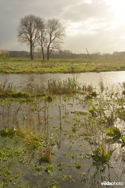 Bergenmeersen bij springtij