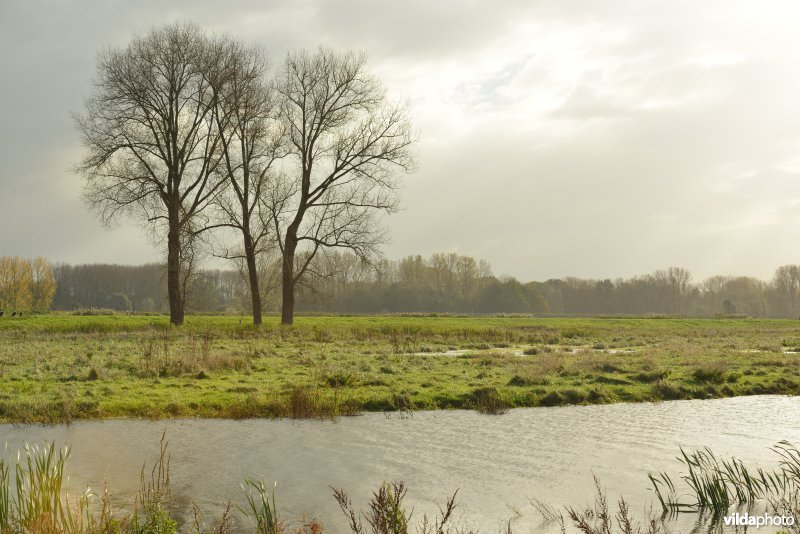 Bergenmeersen bij springtij