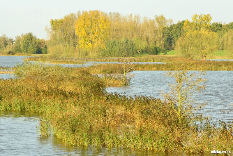 Overstroomde Paardeweide