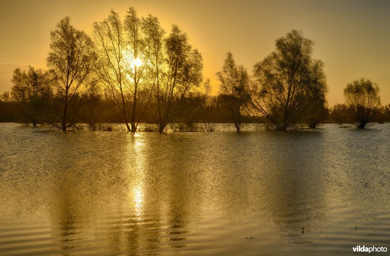 Overstroomde Paardeweide