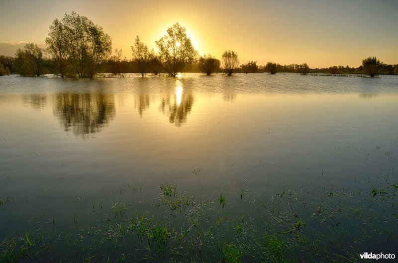 Overstroomde Paardeweide