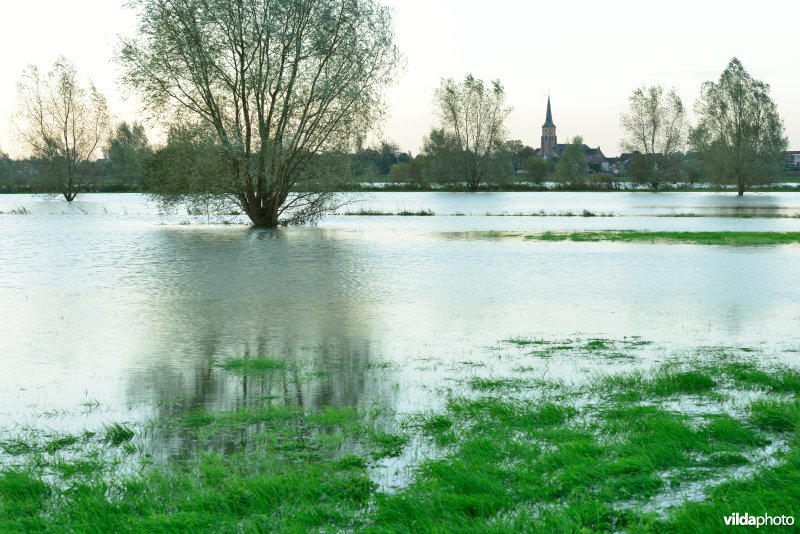 Overstroomde Paardeweide