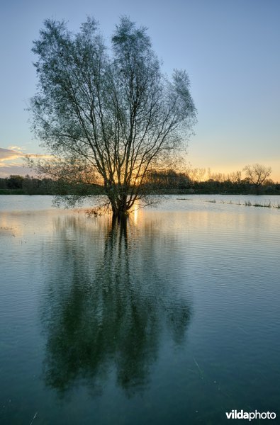 Overstroomde Paardeweide