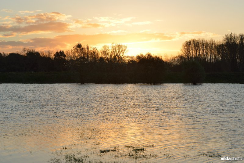 Overstroomde Paardeweide