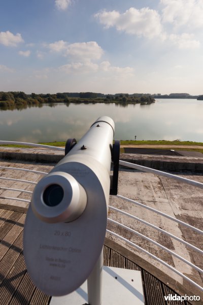 Vogels kijken vanop het dak van het Vloot