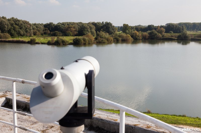 Vogels kijken vanop het dak van het Vloot