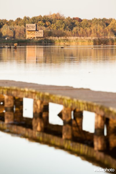 Plankenpad en kijktoren