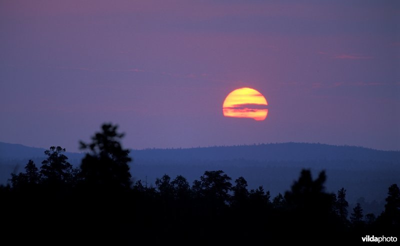 Zonsondergang in Pasvik