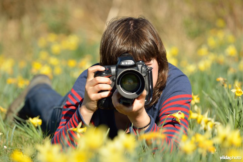 Narcissen fotograferen