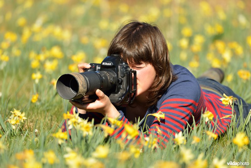 Narcissen fotograferen