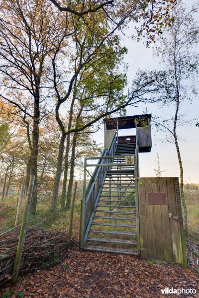 Vogelkijktoren