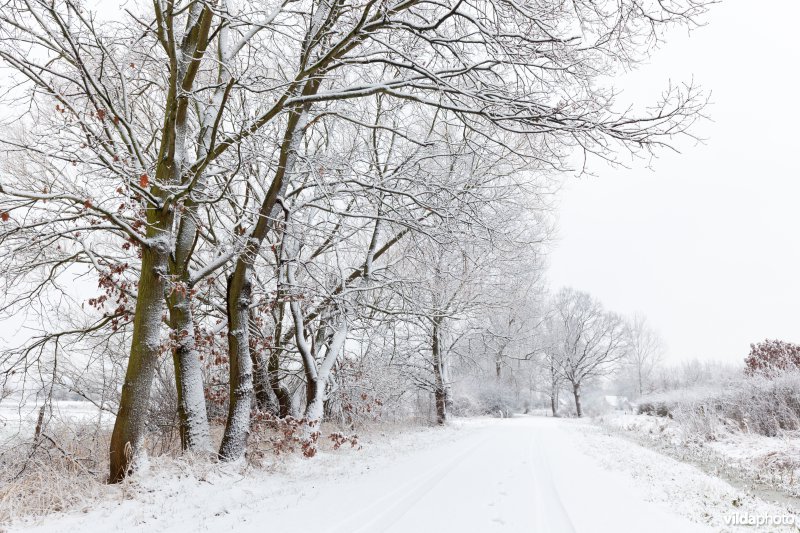 Besneeuwde wandelroute