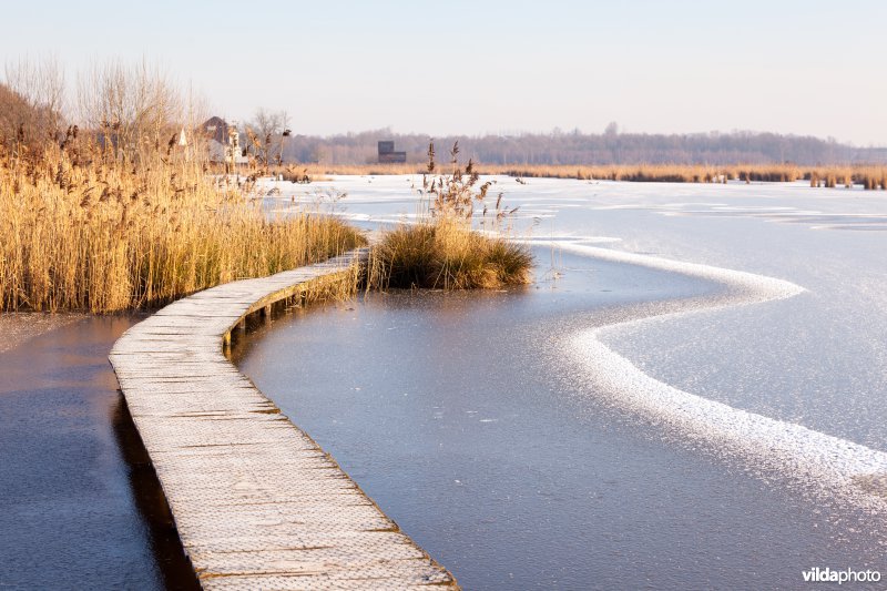 Kronkelend plankenpad