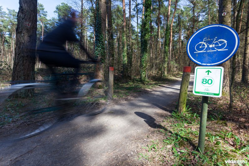 Fietsen in de Antwerpse Kempen