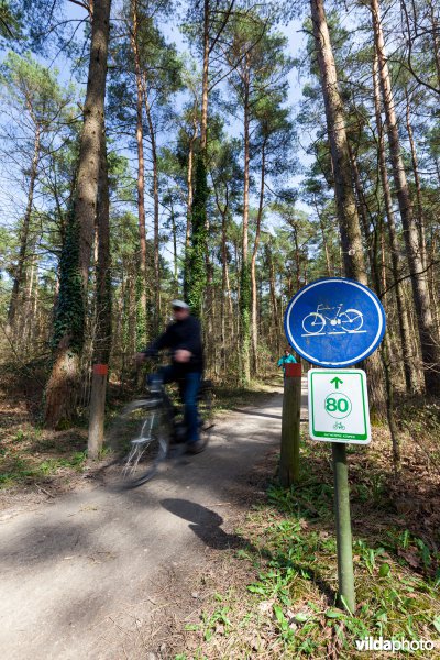 Fietsen in de Antwerpse Kempen