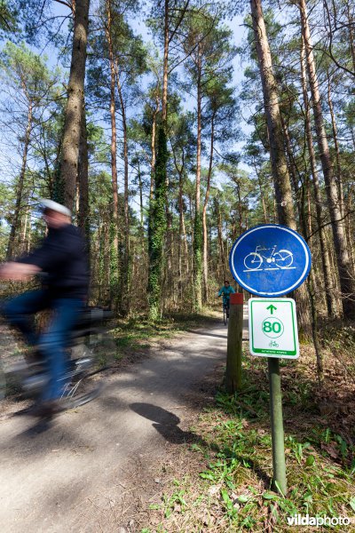 Fietsen in de Antwerpse Kempen