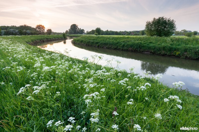 Dijledijk