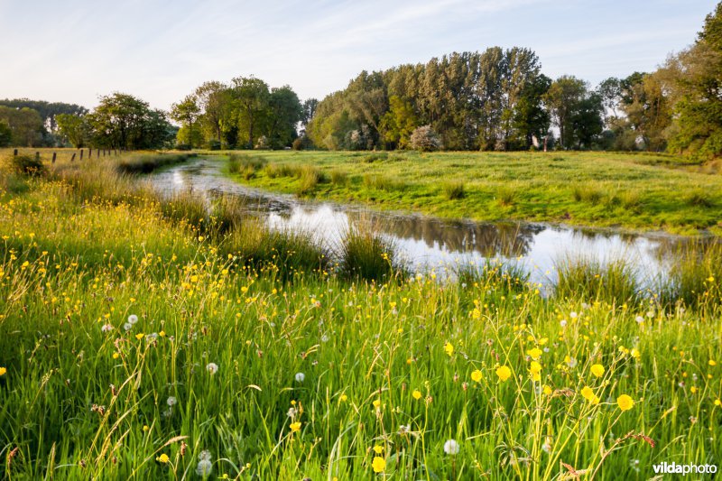 Oude meander