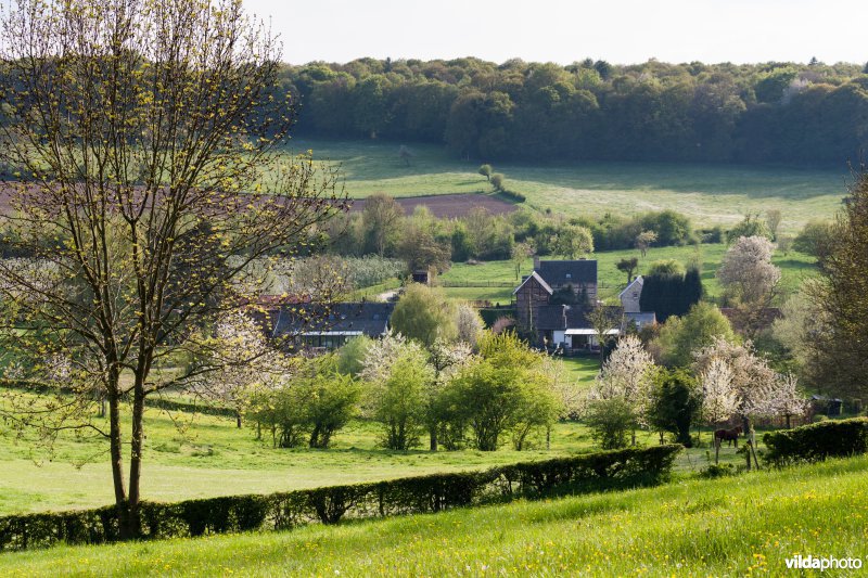 Kleinschalig landschap