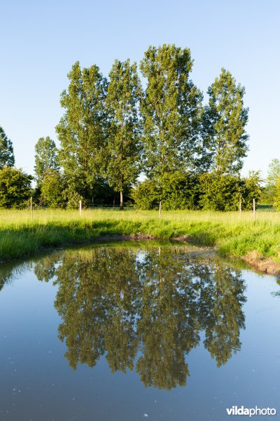 Poel voor de Getedraak