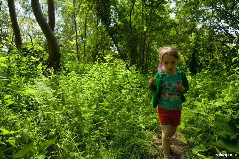 Wandelen in Broek De Naeyer