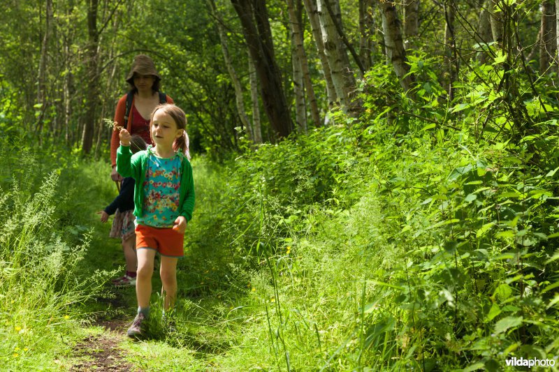 Wandelen in Broek De Naeyer
