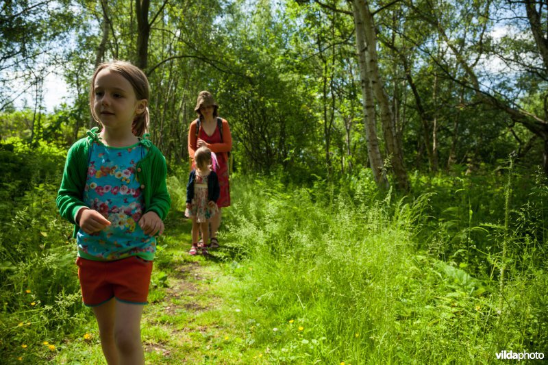 Wandelen in Broek De Naeyer