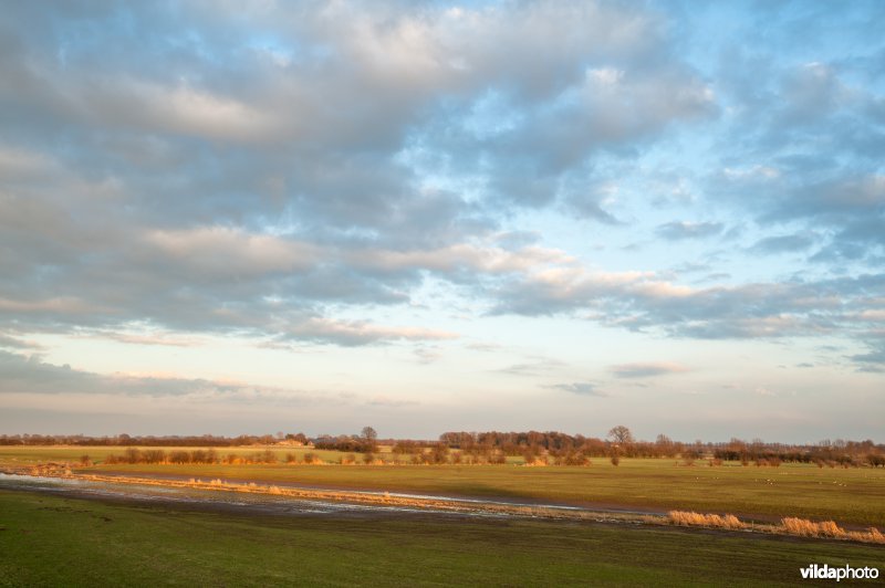Uiterwaarden van de IJssel