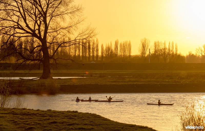 Kanovaren op de IJssel