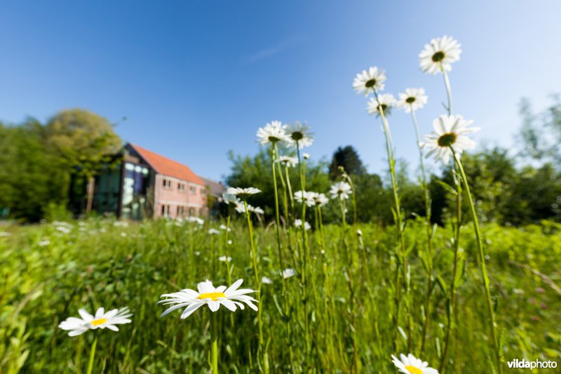 Bezoekerscentrum Grote Netewoud