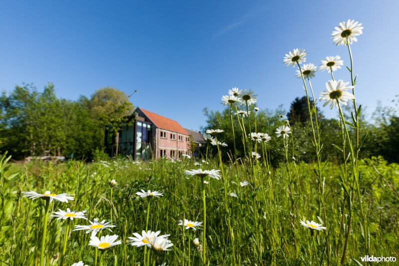 Bezoekerscentrum Grote Netewoud