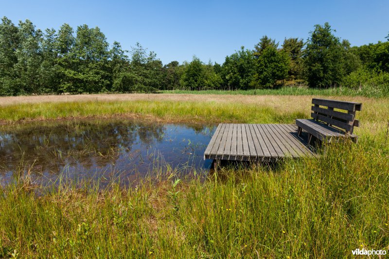 Poel met kijkplatform