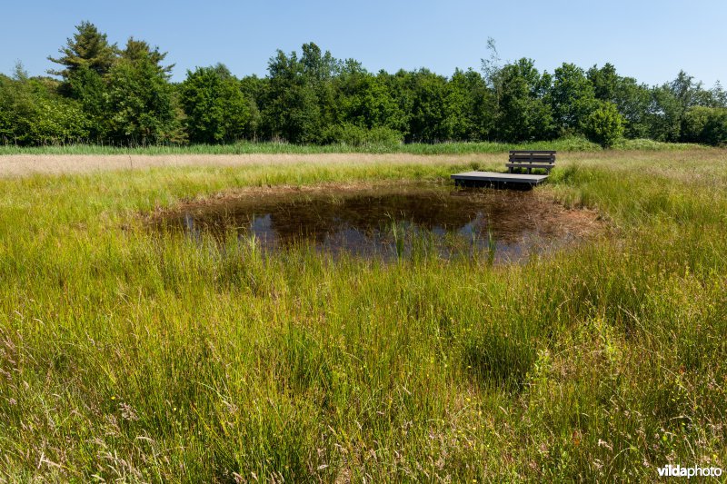 Poel met kijkplatform