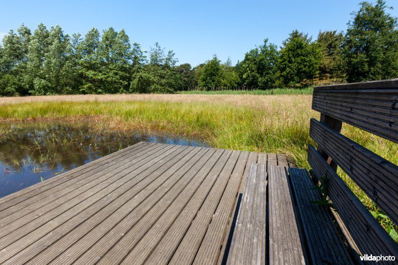 Poel met kijkplatform