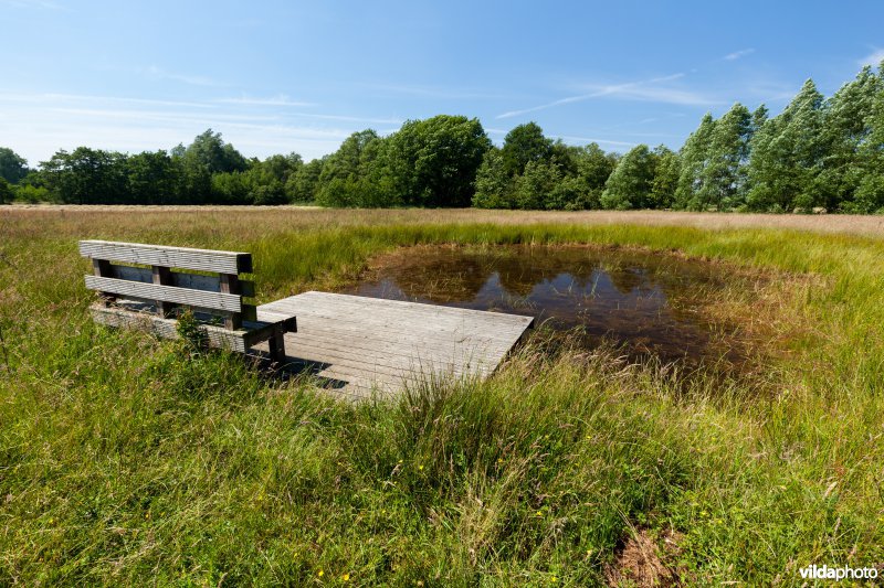 Poel met kijkplatform