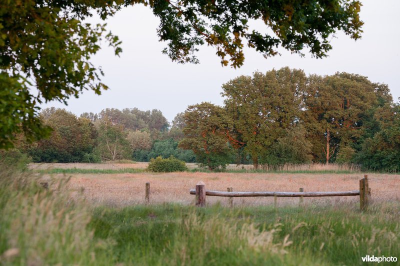 Extensief landbouwlandschap
